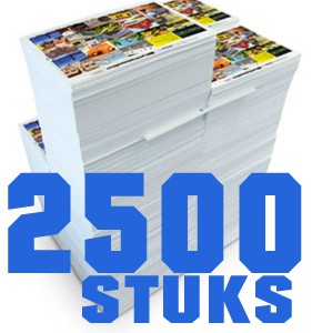 2500 STUKS FLYERSS